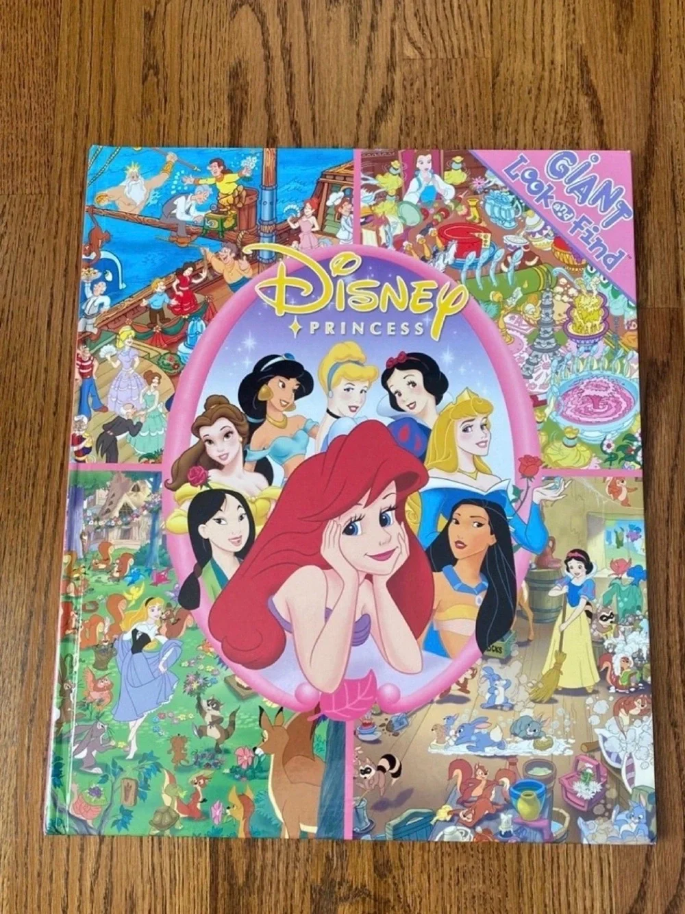 Disney Princess Colorful Illustrated Search Book - Blue Pink Purple